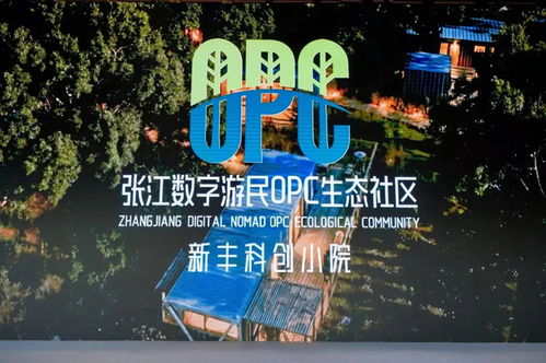 當新就業群體風生水起，上海文創園的第二春來了